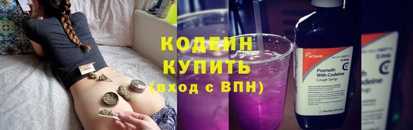 крисы Елизово