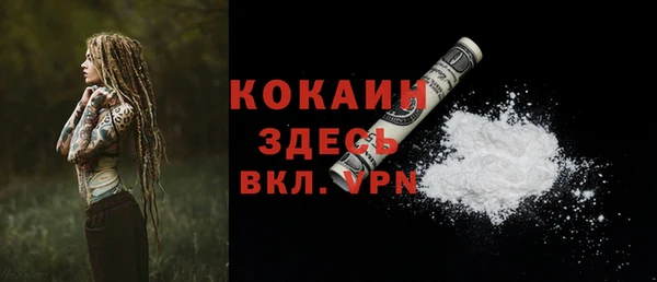 крисы Елизово