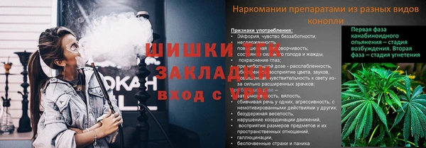 крисы Елизово